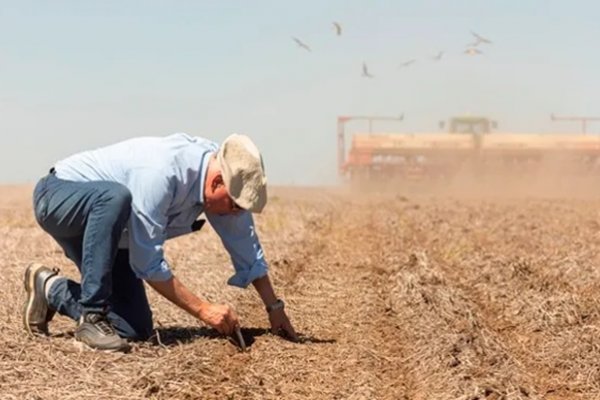 Día del Agricultor: por qué se celebra el 8 de septiembre