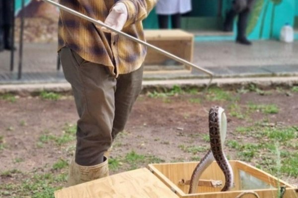 La Facultad de Veterinarias realizó jornadas de concientización sobre toxicidad de plantas, químicos y serpientes