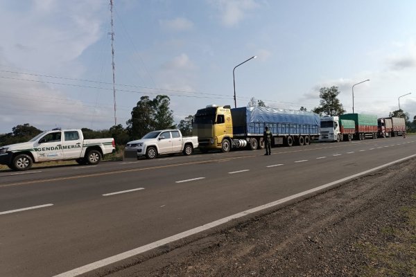 Corrientes: transportaban 90.000 kilos de soja ilegal en tres camiones