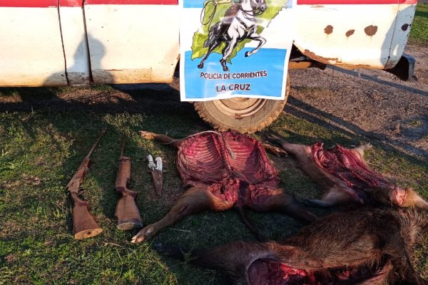 La Policía demoró a un hombre y secuestró animales silvestres faenados