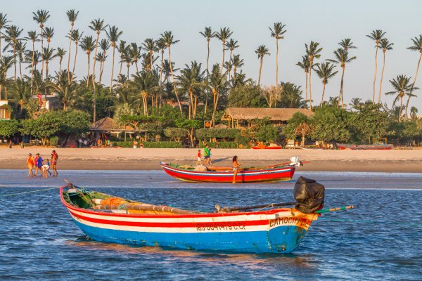 Brasil y el Caribe, algunos de los destinos predilectos de los viajeros de Avantrip para la primavera