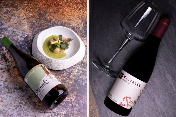Bodegas Viazález, pasión de la cepa a la copa
