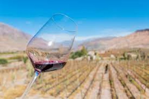 Distinguieron en Mendoza a empresas enoturísticas por su excelencia, buenas prácticas e innovación