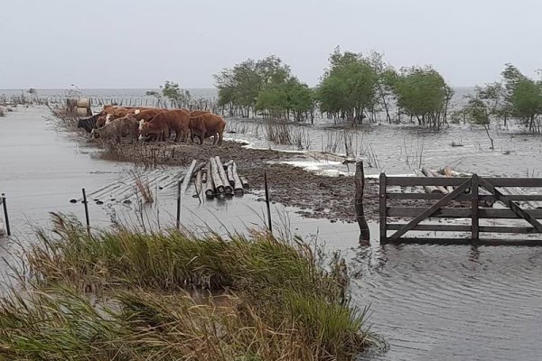 El río Uruguay se encuentra en baja mientras siguen familias evacuadas