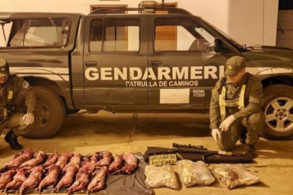 Gendarmería halló 16 vizcachas faenadas en Curuzú Cuatiá
