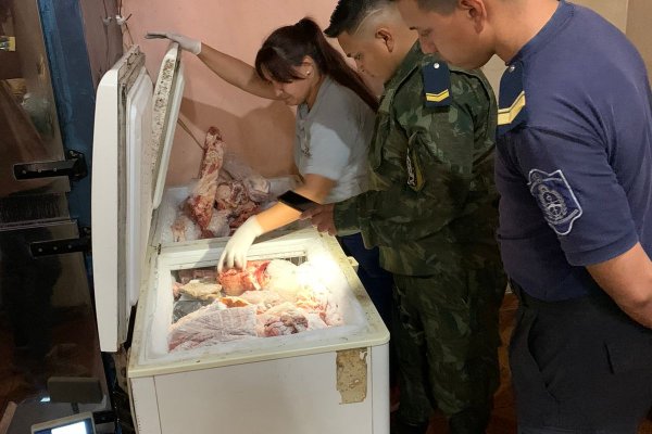 Secuestran más de 150 kilos de carne vacuna que no contaban con las medidas sanitarias