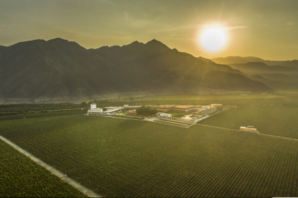 El Hotel Viñas Queirolo, la joya del enoturismo de lujo en la región Ica en Perú