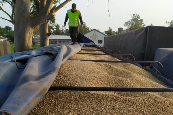 Secuestran 1.138 kilos de granos de soja sin documentación en Corrientes y en Misiones