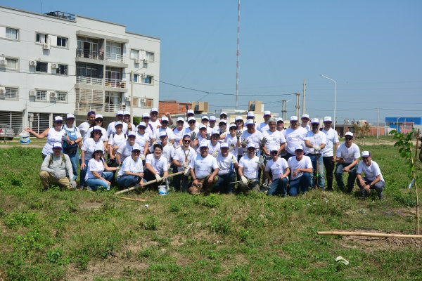 Voluntarios de Telecom plantan árboles nativos en Corrientes