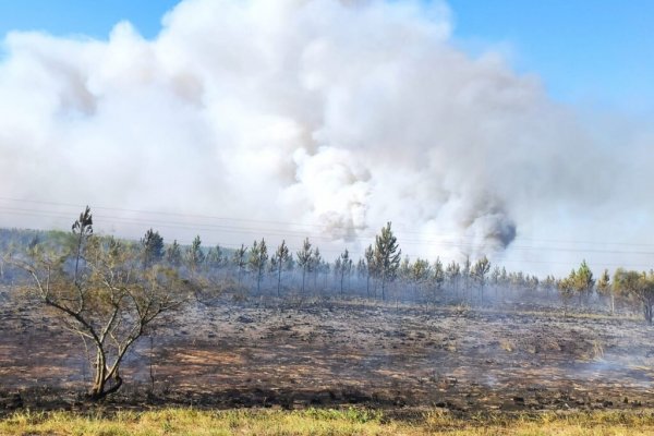 Tras los incendios y sequía otro millonario ingreso de fondos nacionales para el campo correntino