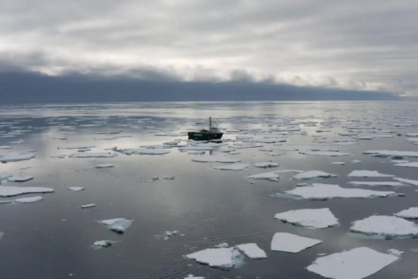 Alarma por el bajo nivel del hielo marino del Ártico