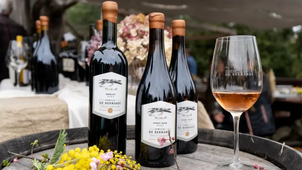 El turismo del vino se expande en Río Negro