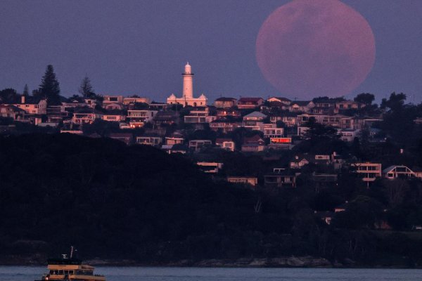Luna de cosecha: estas son las mejores imágenes de la última superluna de este año