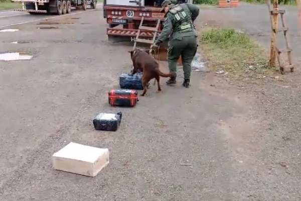 Corrientes: Decomisan más de 12 kilos de marihuana ocultos en una conservadora y en una encomienda