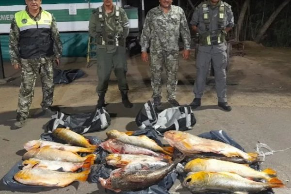 Incautan carga ilegal de pescados antes del acceso al puente Corrientes-Chaco