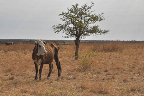 Conciencia pública y alerta temprana, las claves para reducir los riesgos de desastres