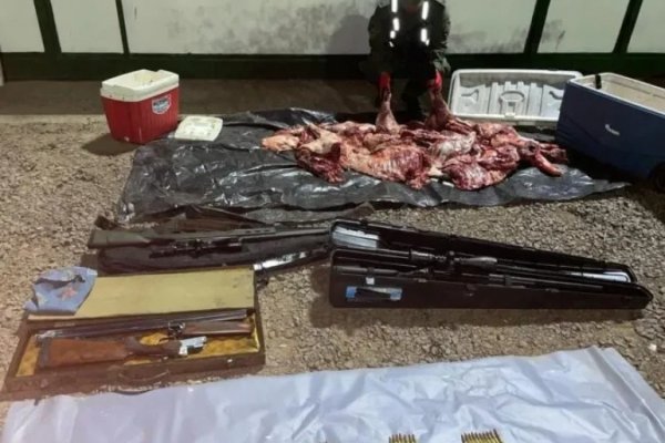 Gendarmería Nacional secuestró armas y carne faenada en Corrientes