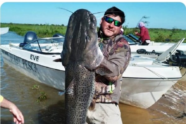 Pesca en Corrientes: capturaron otra gran pieza en Esquina y dicen que fue regresada al río