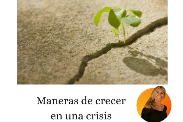 Maneras de crecer en una crisis –Desarrollo Humano-