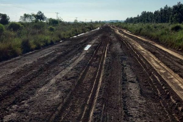 Restablecieron el tránsito vehicular liviano en la Ruta Provincial N° 40