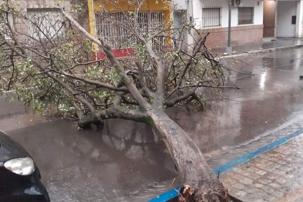 Tormenta en Corrientes: un automóvil terminó hundido en un zanjón