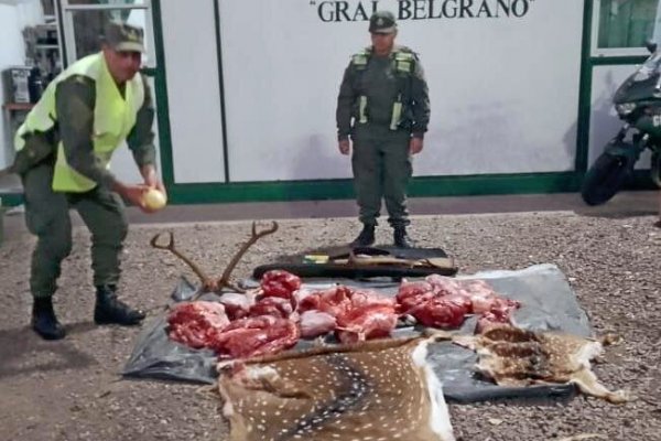 Puente General Belgrano: Cazadores furtivos llevaban carne faenada, cueros y un huevo de ñandú