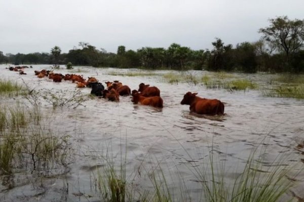 Joven peón rural se ahogó en el Río Corriente