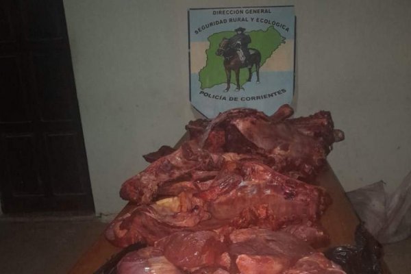 Decomisaron más de 100 kilos de carne vacuna en Corrientes