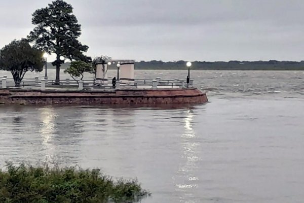 Río Paraná: estado de situación al viernes 10 de noviembre de 2023