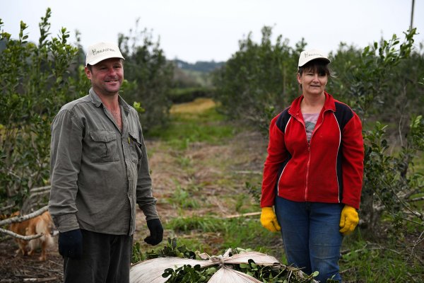 El RENATRE aumenta la prestación por desempleo para trabajadores rurales a $70.200