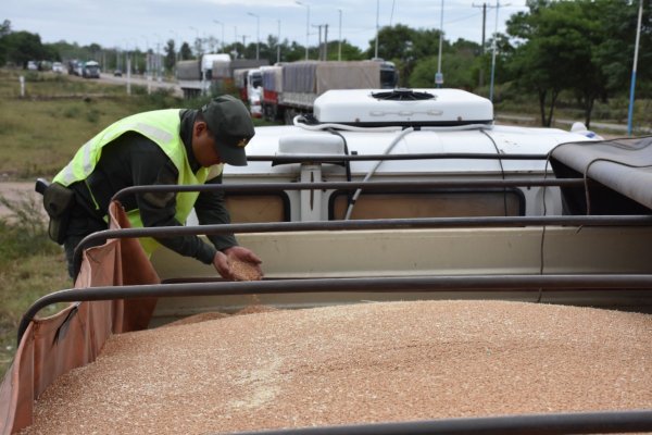 En dos procedimientos: Circulaban con 126 toneladas de trigo y 60 toneladas de soja sin el aval legal