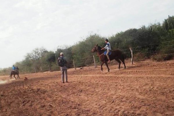 Corrientes: Prohiben las carreras cuadreras hasta nuevo aviso