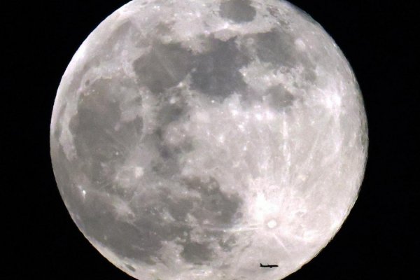 Así se vio la deslumbrante luna llena de castor