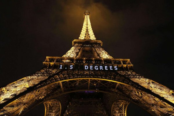 Experta ambientalista explica los avances y retos del acuerdo climático de París de 2015