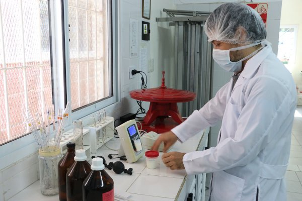 Leche de Búfala: una investigación podría impulsar la industria y el comercio de lácteos