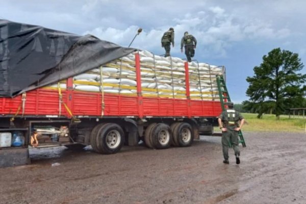 Secuestraron más de 507 toneladas de granos de soja en Corrientes y Misiones