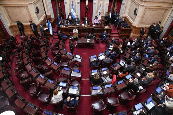 ¿Por qué son importantes los números de participación de mujeres y varones?