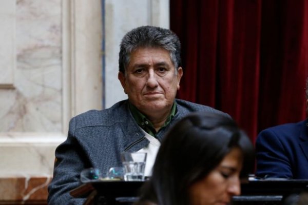 Diputado Nacional correntino pide informe el brote de encefalomielitis equina