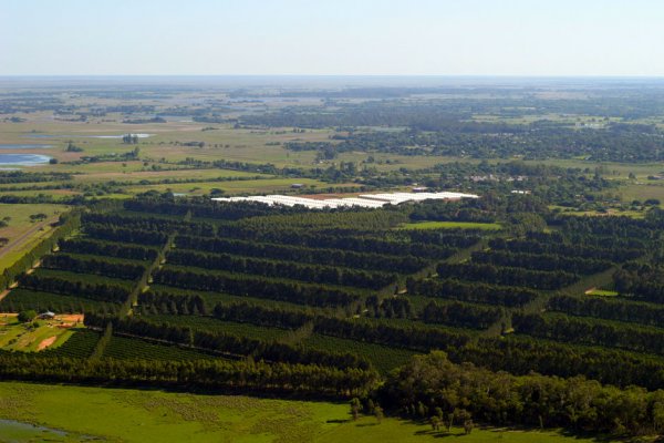 Corrientes la cuarta provincia más extranjerizada de la Argentina