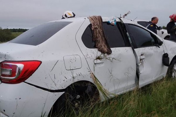 Corrientes: Chocó un carpincho, despistó y murió