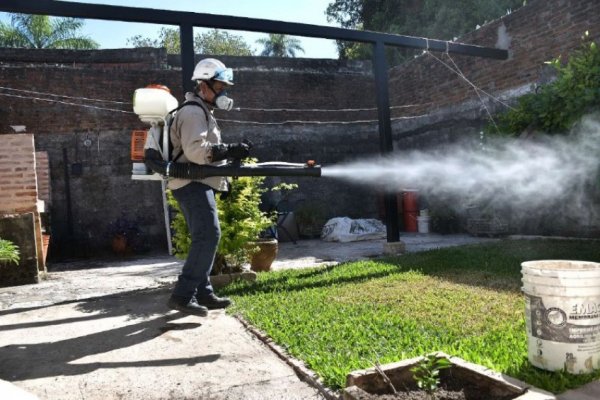 Dengue: oficialmente admiten récord de casos y piden extremar la prevención