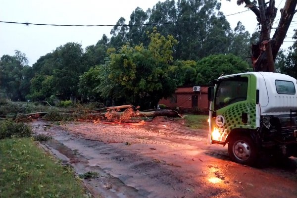 Tormenta en Corrientes: varias localidades y barrios de capital sin energía