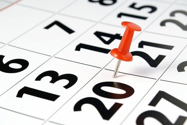 Calendario feriados 2024: ¿cuándo es el próximo fin de semana largo?