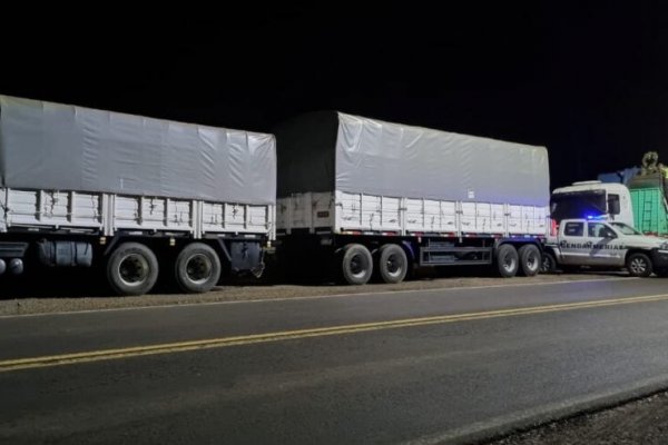 Tapebicuá: Gendarmería incautó 60 toneladas de soja con rumbo a Misiones