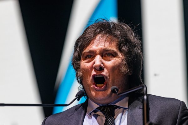 Javier Milei 2024: entre el ajuste y la utopía libertaria