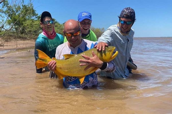 Esquina: Pescaron un dorado de 15 kilos en el Paraná y lo devolvieron al río
