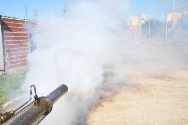 Dengue: 100 casos activos con epicentro en ciudad de Corrientes y San Luis del Palmar