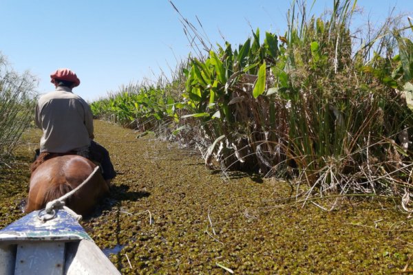 Los Esteros del Iberá elegido como uno de los destinos más apasionantes del mundo para visitar en 2024