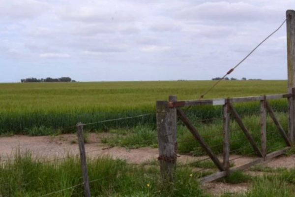 Corrientes: motociclista terminó internado al atropellar a un caballo en el campo