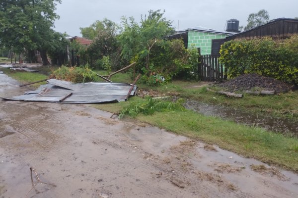Tormenta de agua y viento en varias localidades correntinas dejó árboles y postes caídos